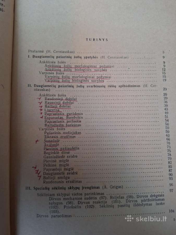Daugiamečių pašarinių žolių auginimas sėklai - nuotraukos Nr. 3