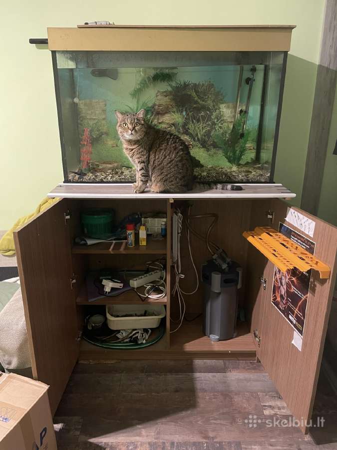 Akvariumas 250 litru su spintele ir filtru - nuotraukos Nr. 2