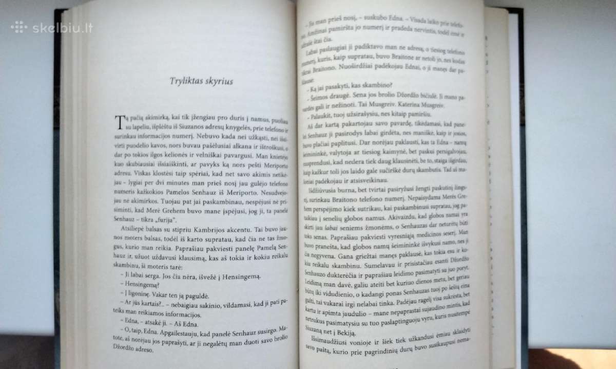 M. Forster. Prisiminimų dėžutė - nuotraukos Nr. 7