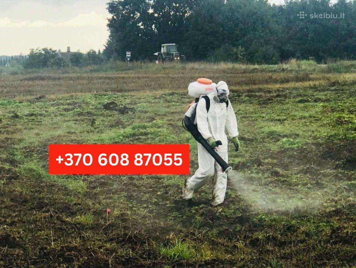 Medžių pjovimas, genėjimas / Aplinkos tvarkymas - nuotraukos Nr. 30