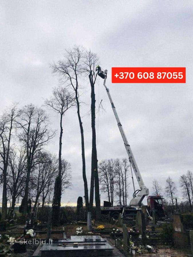 Medžių pjovimas, genėjimas / Aplinkos tvarkymas - nuotraukos Nr. 36