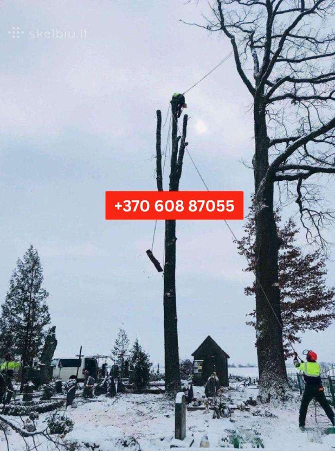 Medžių pjovimas, genėjimas / Aplinkos tvarkymas - nuotraukos Nr. 7