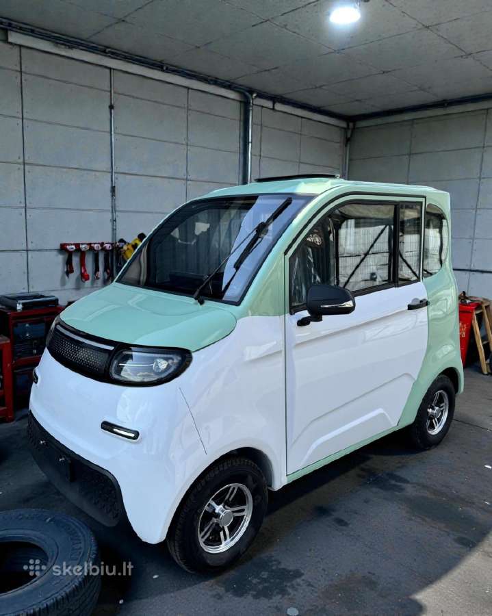 Naujas Mini elektromobilis automobilis 1000w