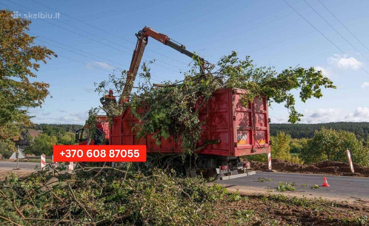 Šakų, Medienos Išvežimas, Sunkvežimis (30m3) - nuotraukos Nr. 16