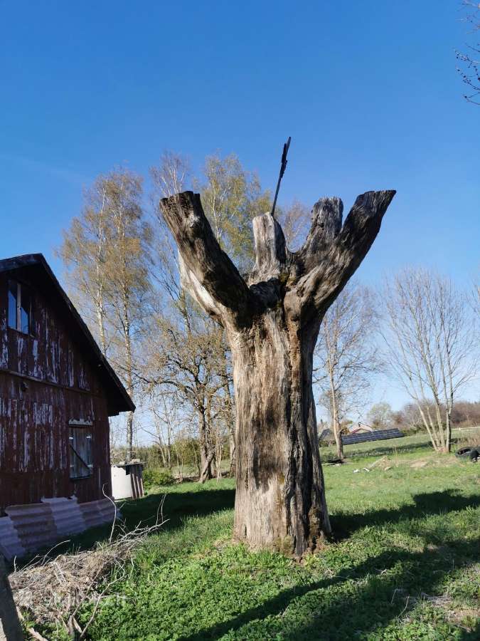 Parduodama sodyba - nuotraukos Nr. 6