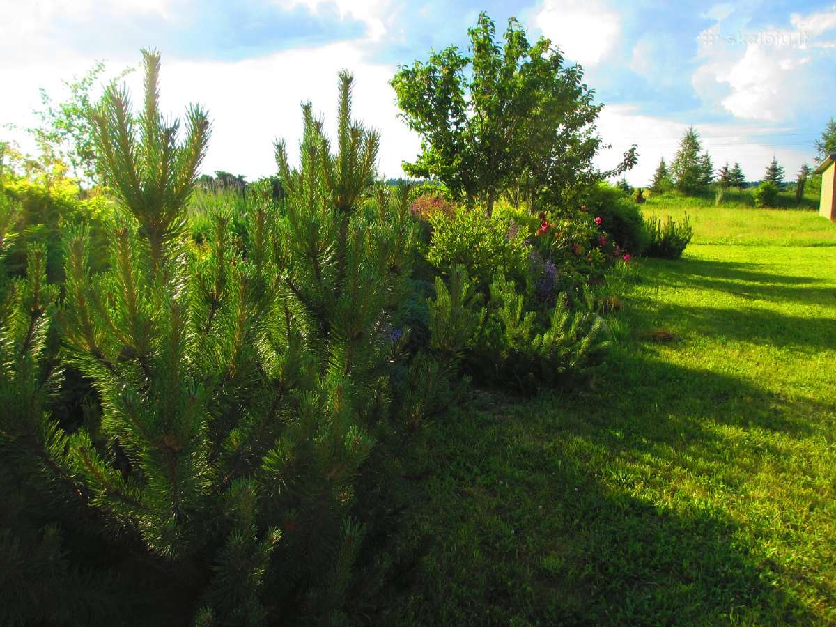 Kraštovaizdžio priežiūra Klaipėdos .r - nuotraukos Nr. 2