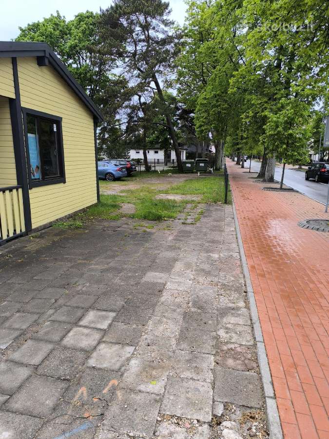 Isnuomojama vieta gatves prekybai bei parkavimui