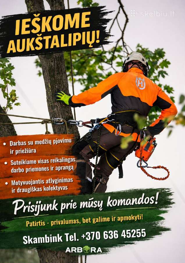 Aukštalipis (-ė) medžių pjovimui ir priežiūrai