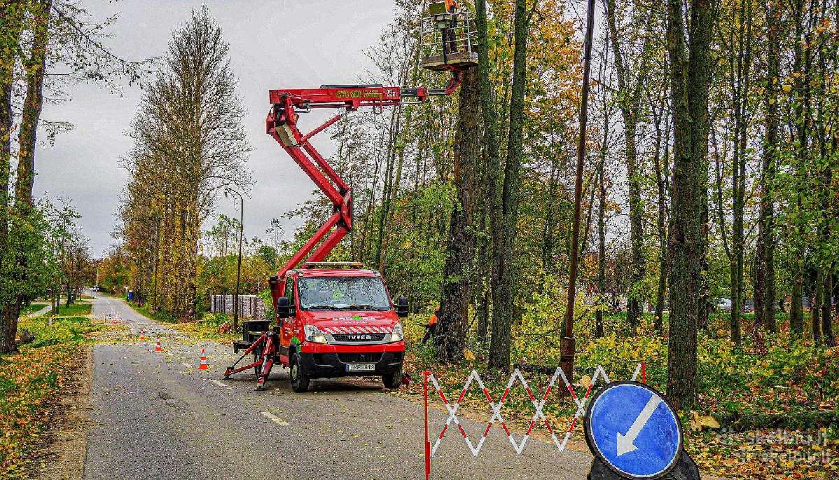Mechanizuotas teritorijų šlavimas ir valymas - nuotraukos Nr. 16