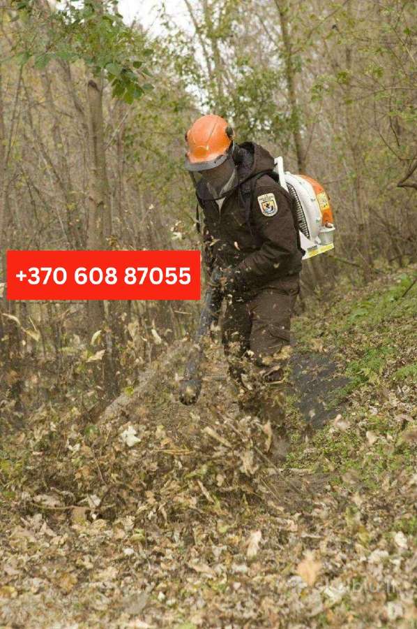 Šakų, Medienos Išvežimas, Sunkvežimis (30m3) - nuotraukos Nr. 26