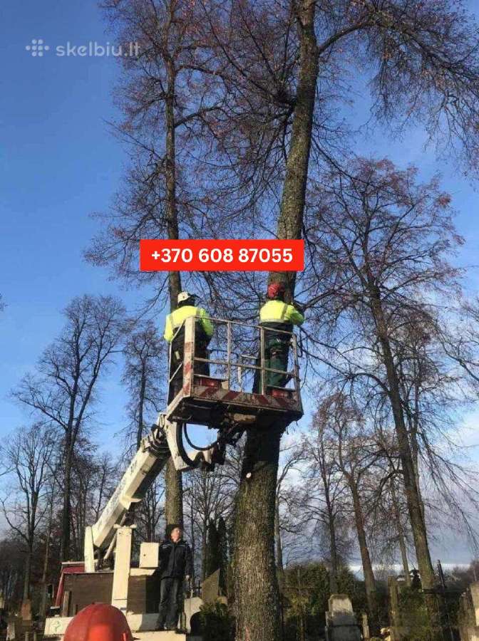 Šakų, Medienos Išvežimas, Sunkvežimis (30m3) - nuotraukos Nr. 28