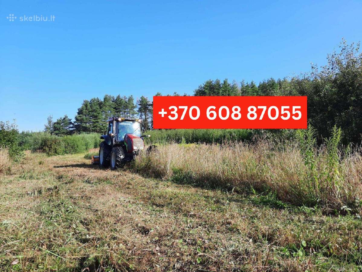 Šakų, Medienos Išvežimas, Sunkvežimis (30m3) - nuotraukos Nr. 30