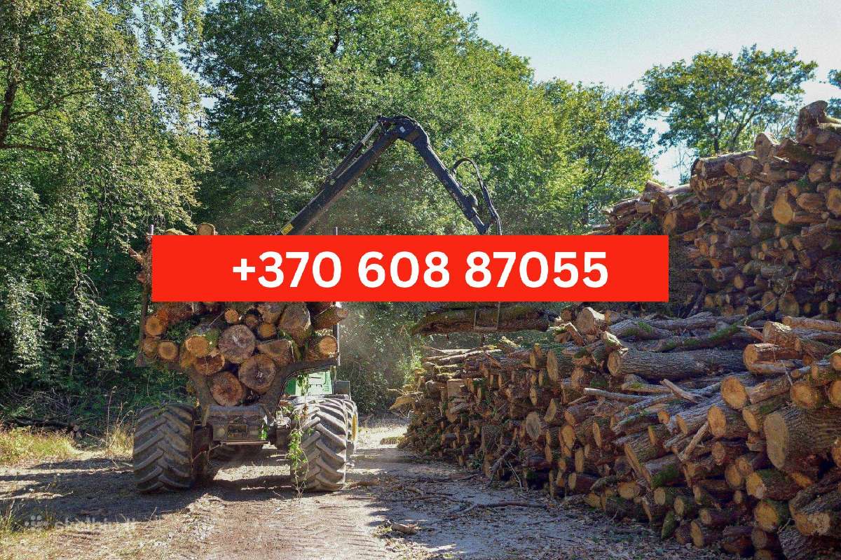 Šakų, Medienos Išvežimas, Sunkvežimis (30m3) - nuotraukos Nr. 31