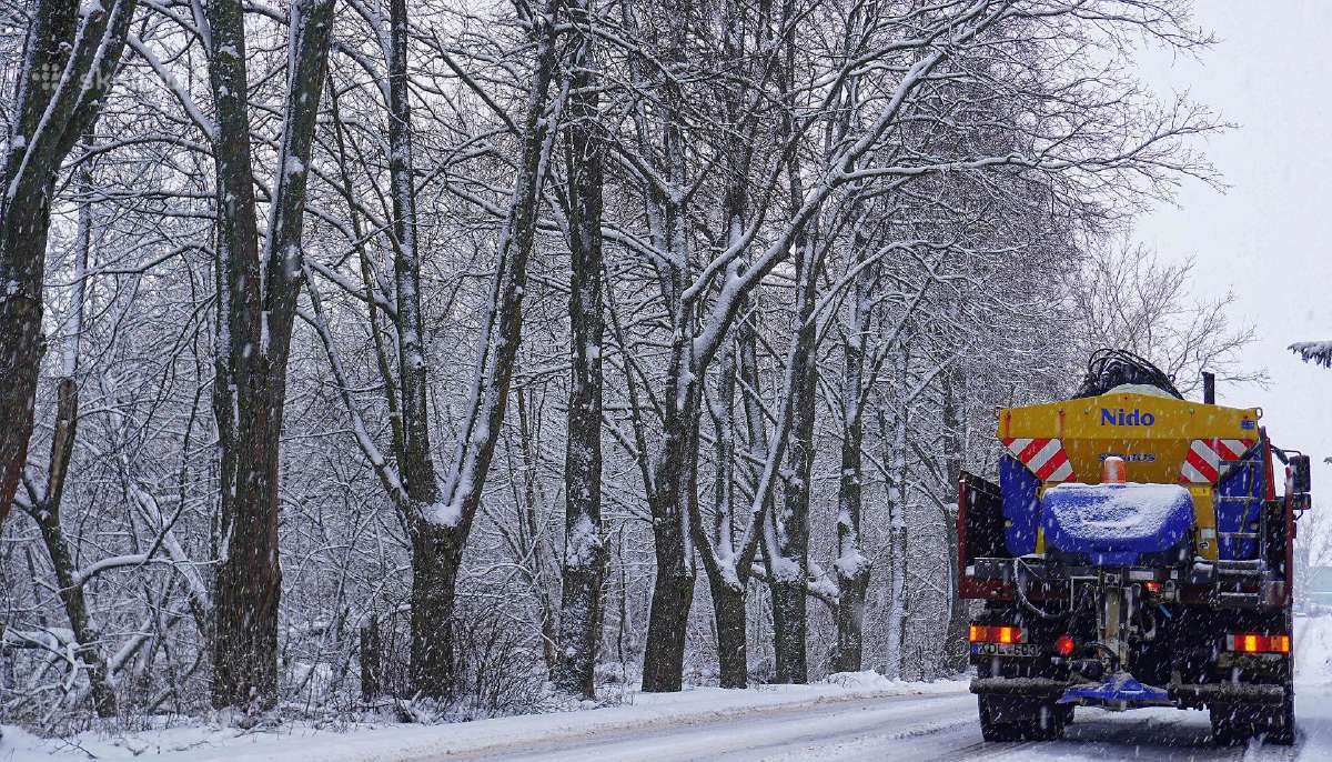 Sniego valymas, išvežimas, teritorijų barstymas - nuotraukos Nr. 23