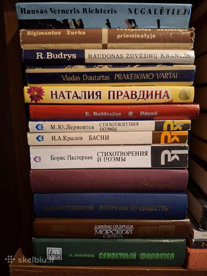 Rusų literatūros knygų rinkinys