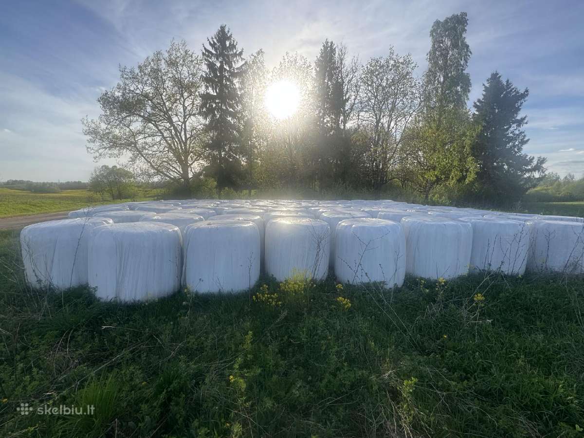 Šienainis