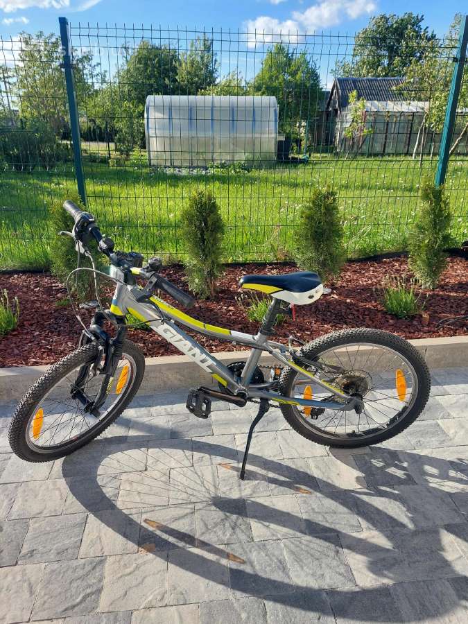Vaikiškas dviratis 20" Giant