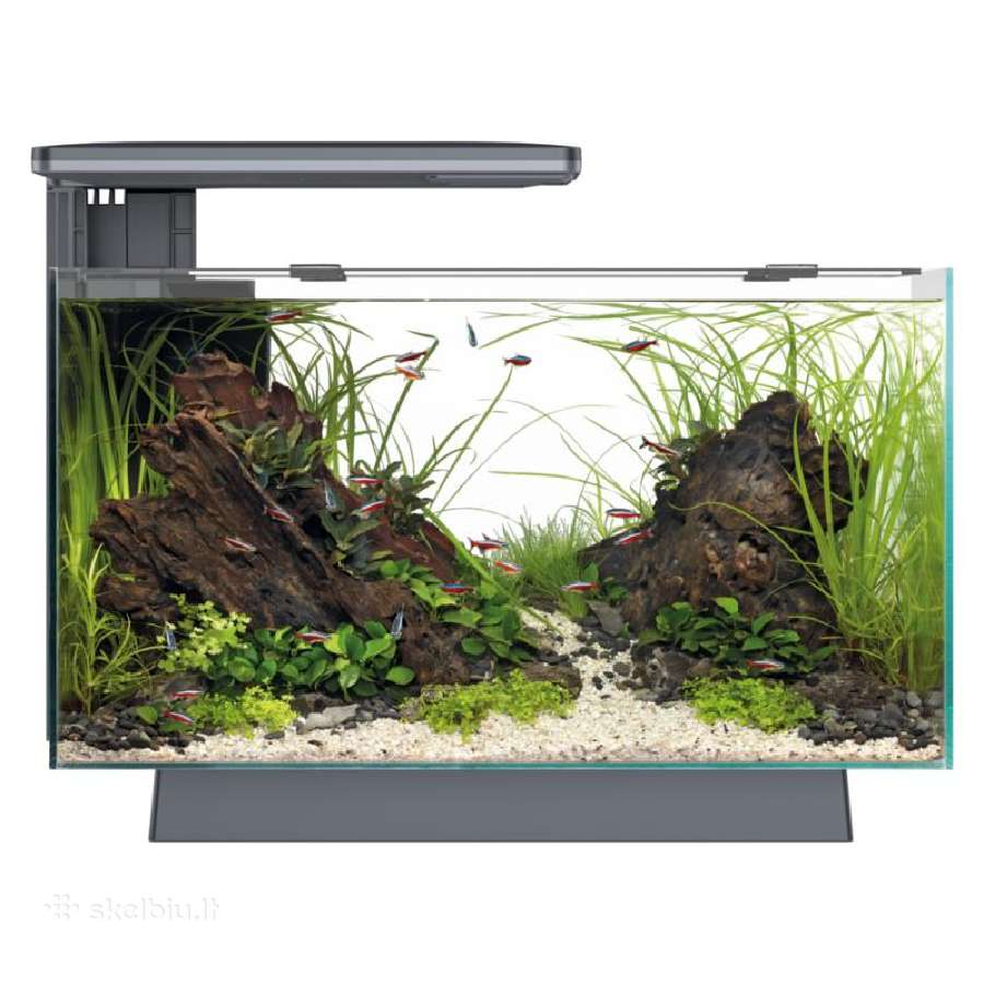 Akvariumas su apšvietimu , filtru ir šildytuvu