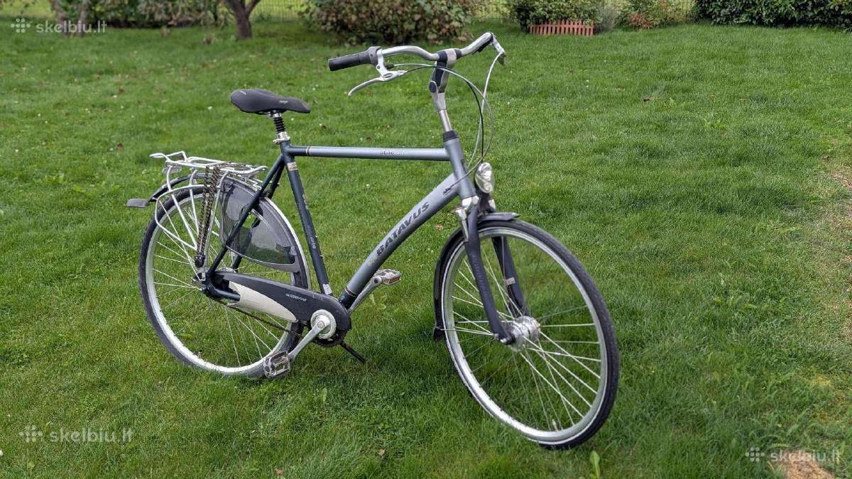 Batavus 28col