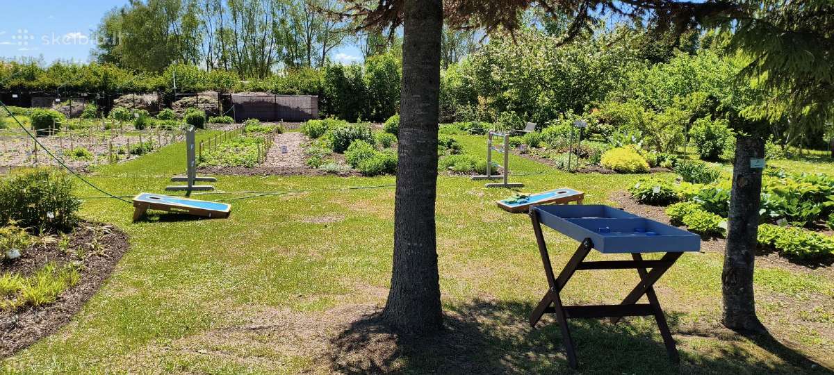 Lauko žaidimų nuoma 25€ Šiauliai - nuotraukos Nr. 14