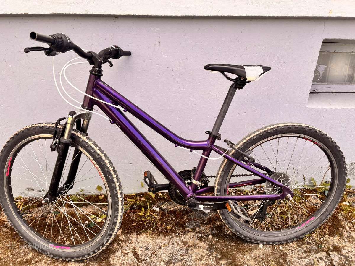 Parduodamas dviratis – 100 € (kaina) - nuotraukos Nr. 4