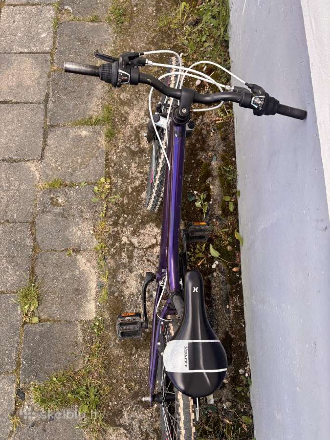 Parduodamas dviratis – 100 € (kaina) - nuotraukos Nr. 8