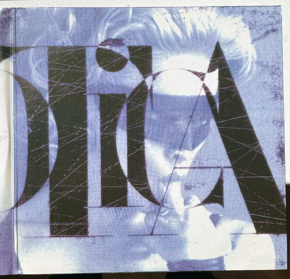 Madonna - Erotica 2 Lp - nuotraukos Nr. 3