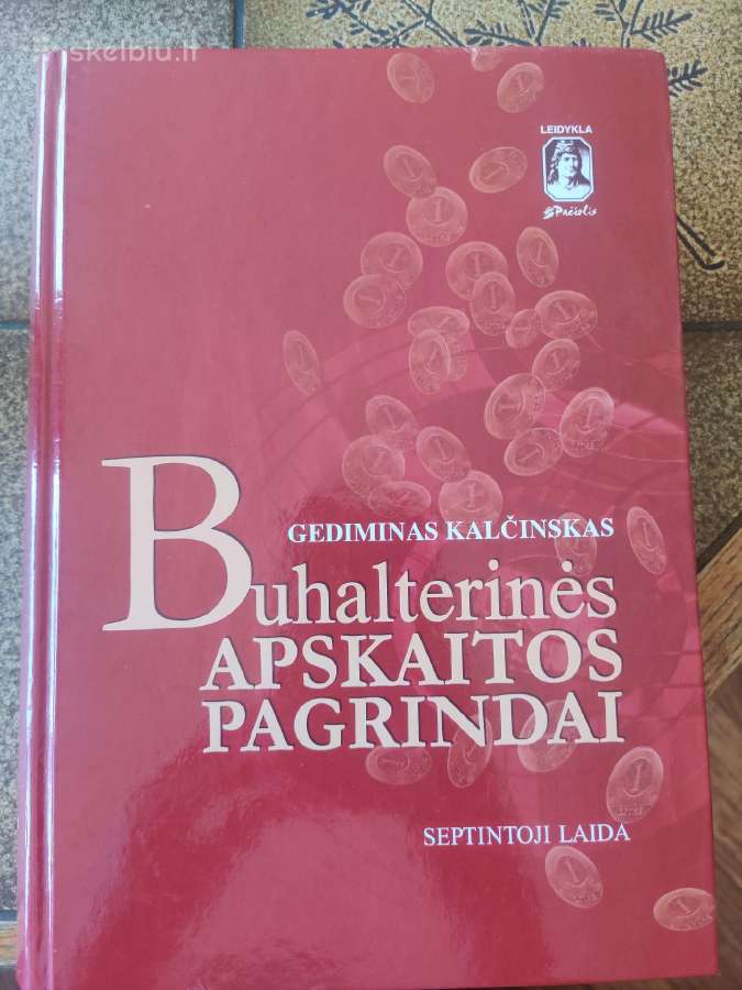 Buhalterinės apskaitos pagrindai