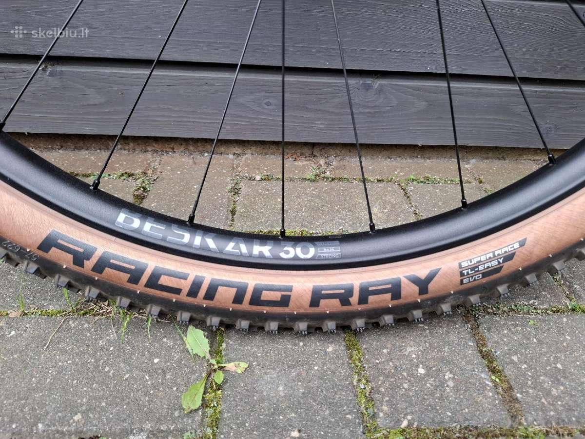 Schwalbe Racing Ray - nuotraukos Nr. 2