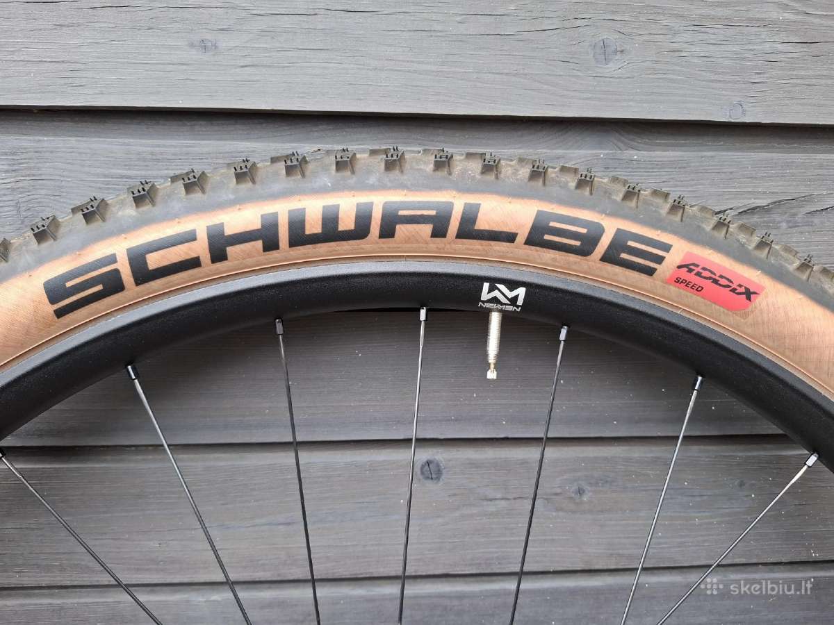 Schwalbe Racing Ray - nuotraukos Nr. 3