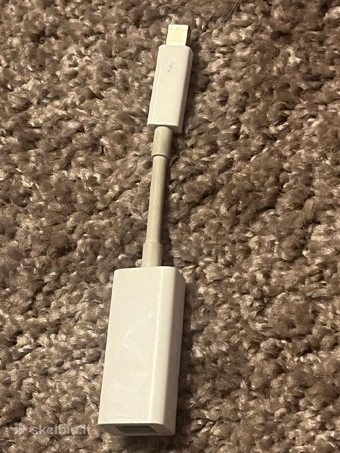 Apple Thunderbolt to Firewire Adapter