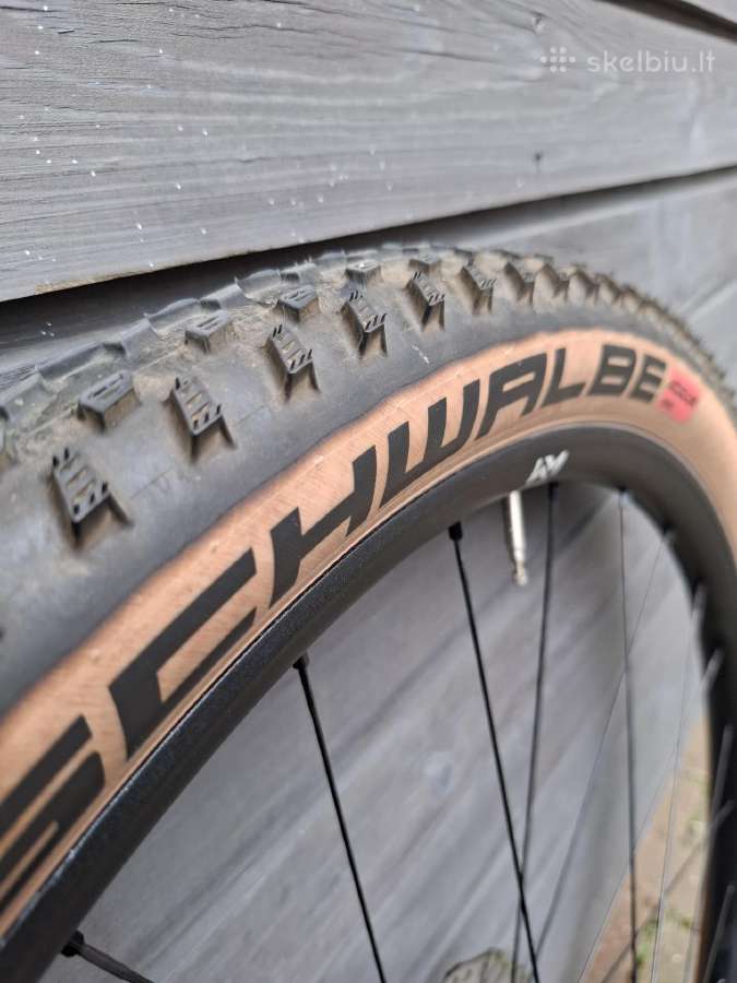 Schwalbe Racing Ray - nuotraukos Nr. 6