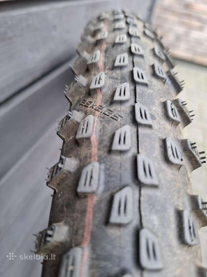 Schwalbe Racing Ray - nuotraukos Nr. 7