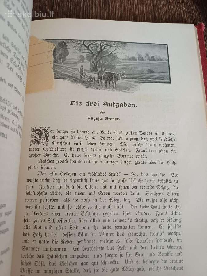 Parduodu knyga,dukterų albumas,1905m - nuotraukos Nr. 7