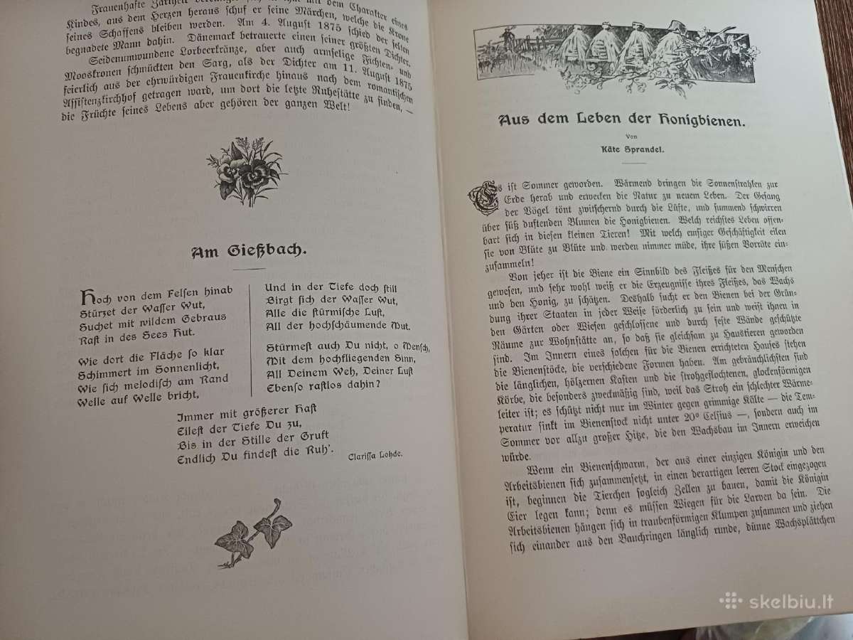 Parduodu knyga,dukterų albumas,1905m - nuotraukos Nr. 26