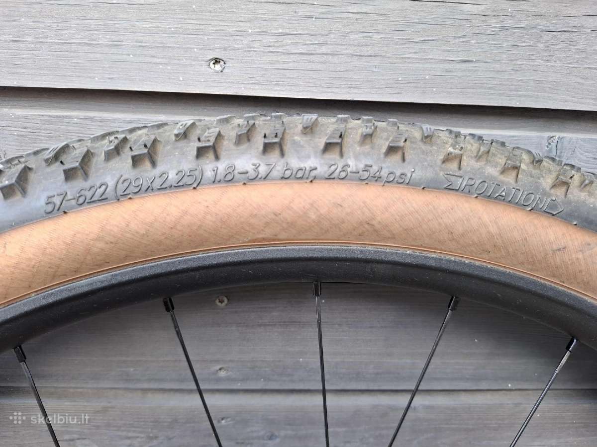 Swalbe Racing Ralph - nuotraukos Nr. 6