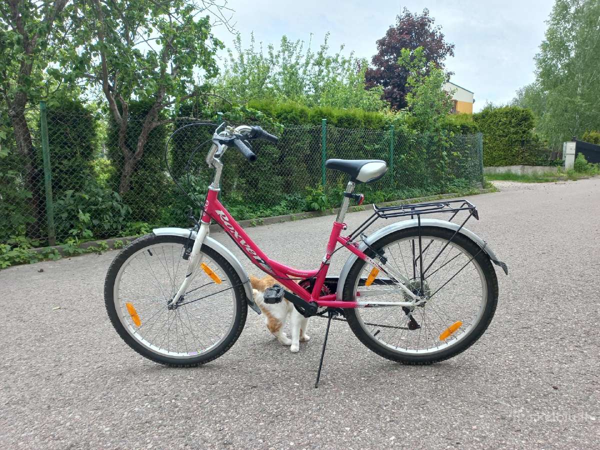 Vaikiškas dviratis Roxver 24"