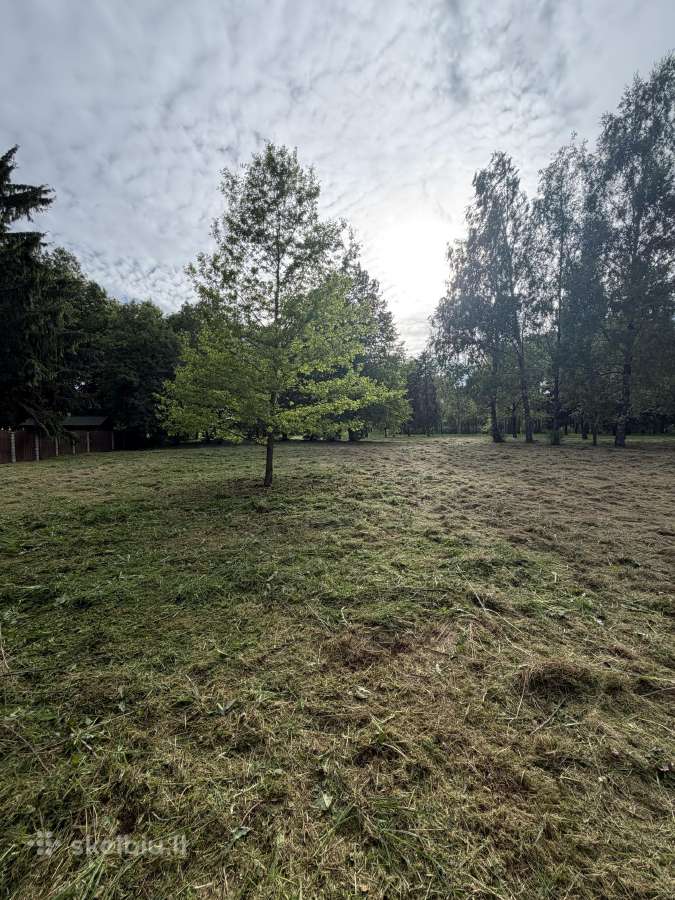 Žolės pjovimas, vejos skarifikavimas Jonava - nuotraukos Nr. 3