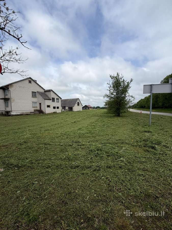 Žolės pjovimas, vejos skarifikavimas Jonava - nuotraukos Nr. 6