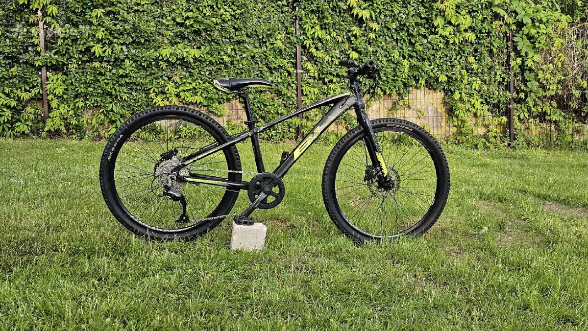 BH Expert Junior 24