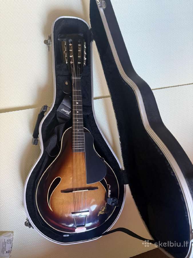 Muzikos instrumentai - nuotraukos Nr. 10