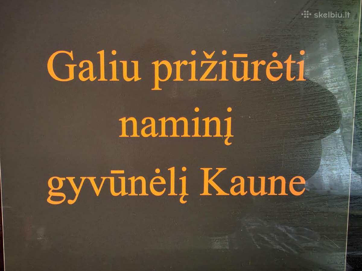 Galiu prižiūrėti naminį gyvūnėlį Kaune
