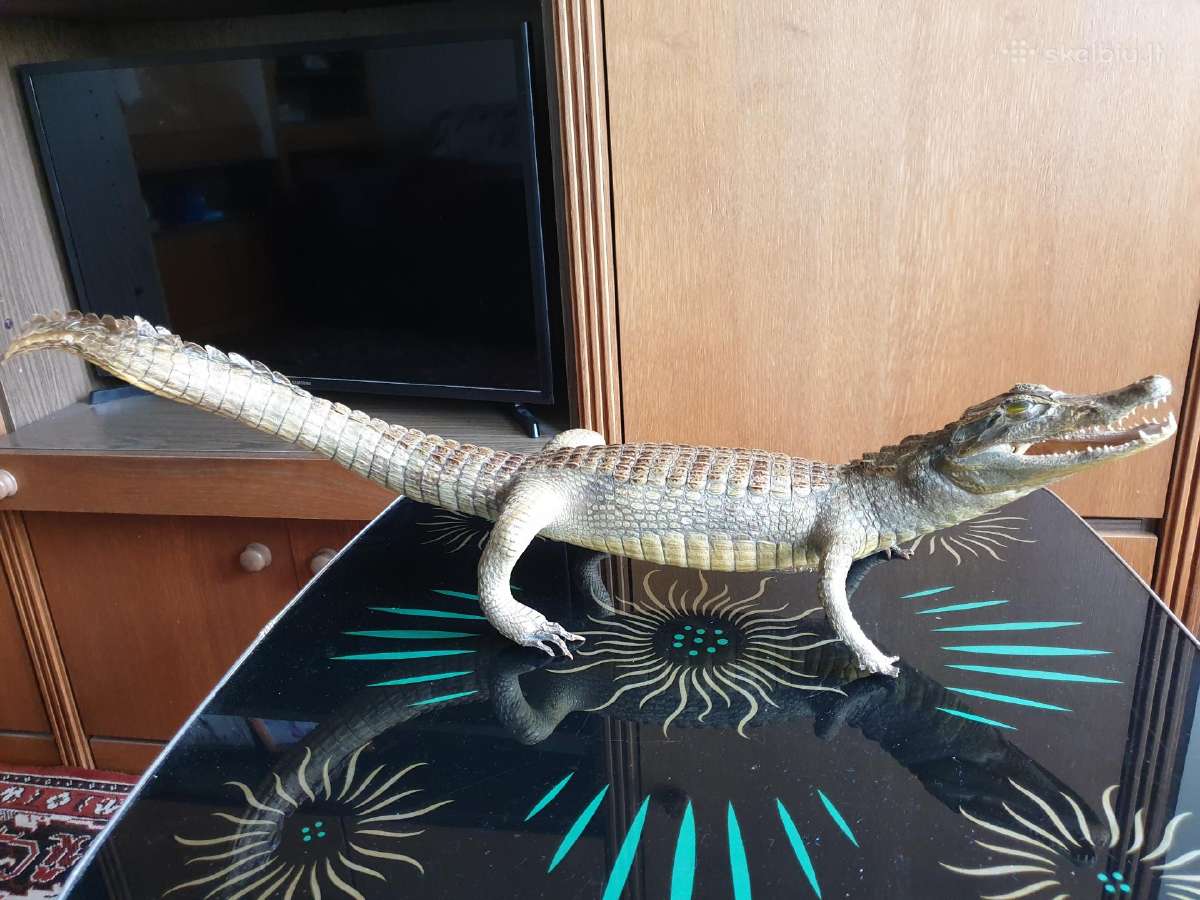 Parduodu iškamšą krokodilą.