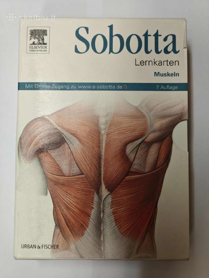 Sobotta raumenų anatomijos kortelės