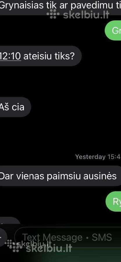 Ausines pro2 ir pro3 - nuotraukos Nr. 33