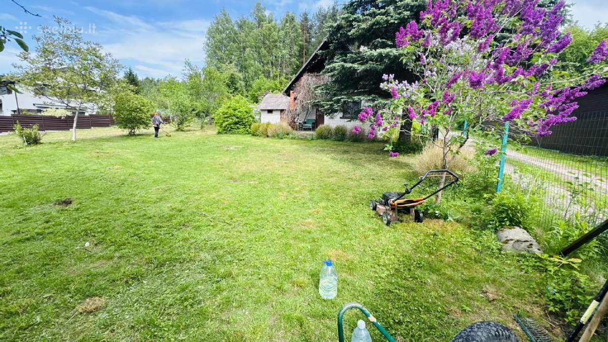 Žoles pjovimas, Gerbūvio darbai, apželdinimas. - nuotraukos Nr. 4