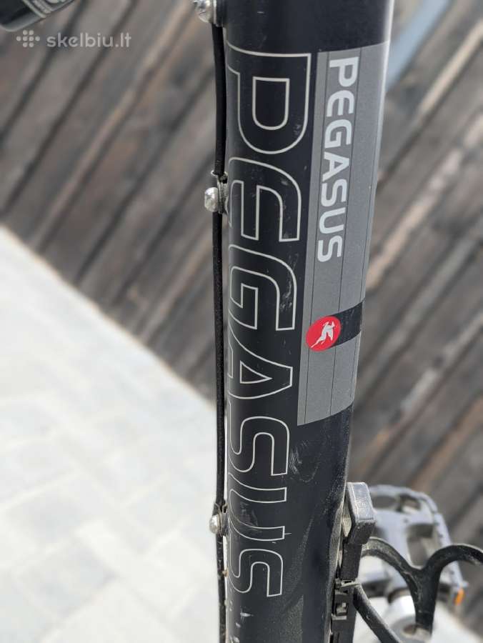 Pegasus Piazza 7005 Aluminium miesto dviratis - nuotraukos Nr. 2