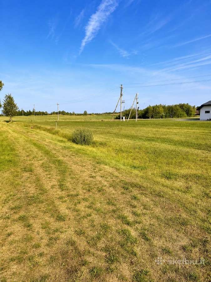 Sklypų šienavimas-žolės, vejos pjovimas. - nuotraukos Nr. 11