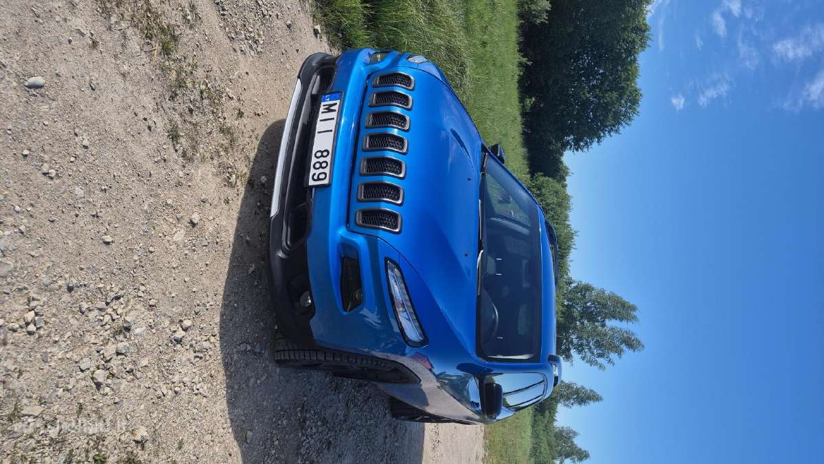 Puikus automobilis