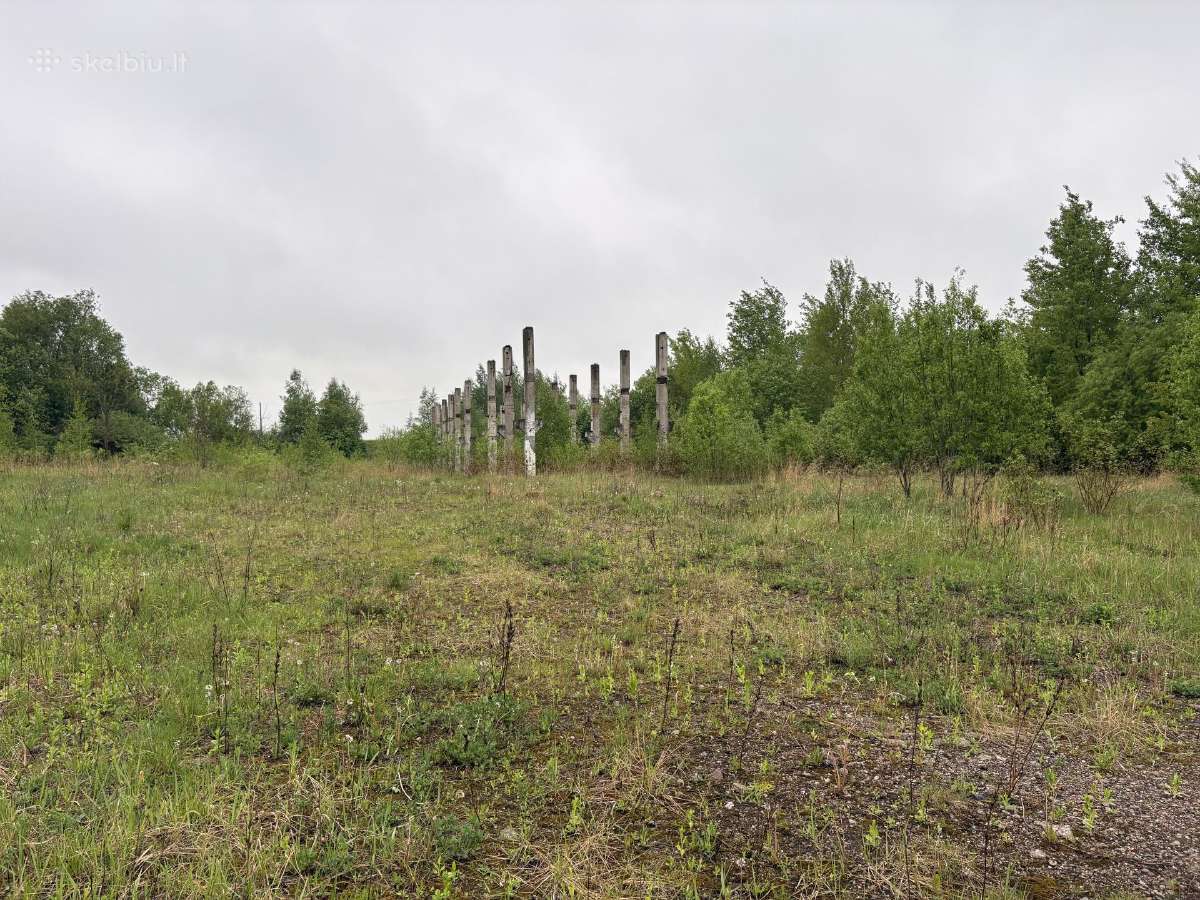 Fermų griuvėsiai
